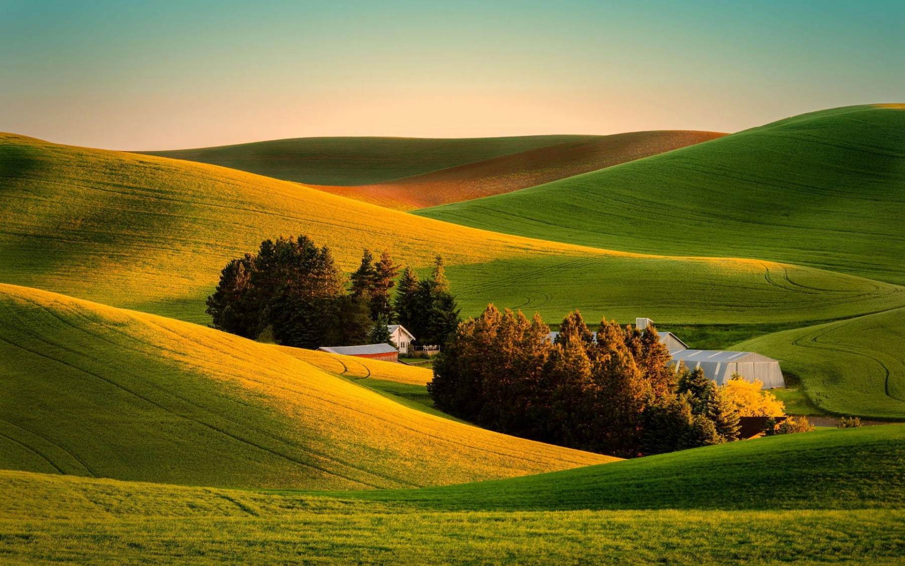 طبیعت رویایی