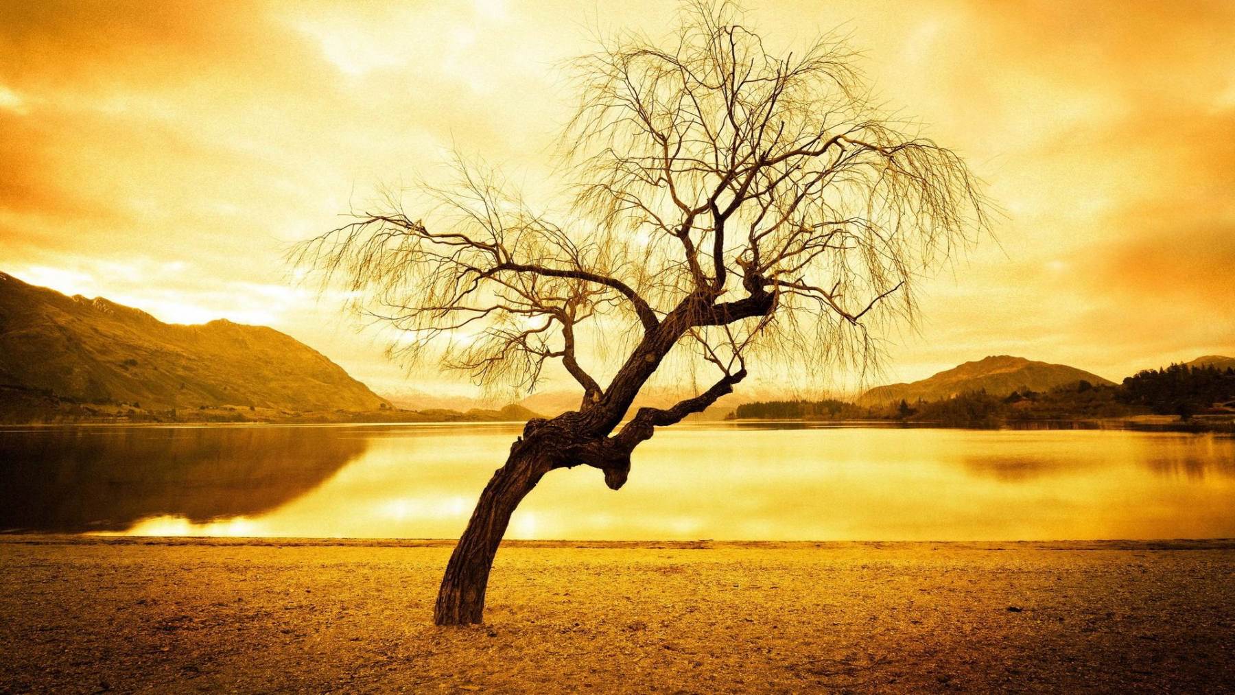 طبیعت رویایی