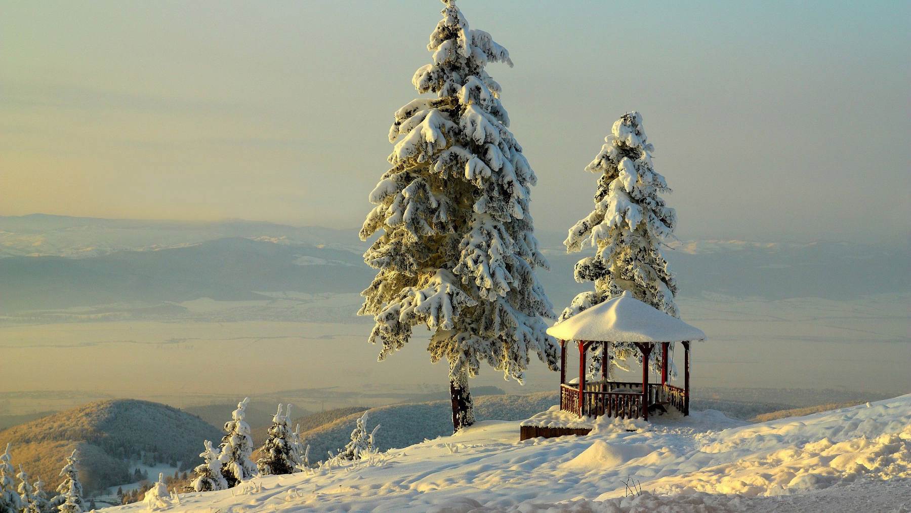 طبیعت رویایی