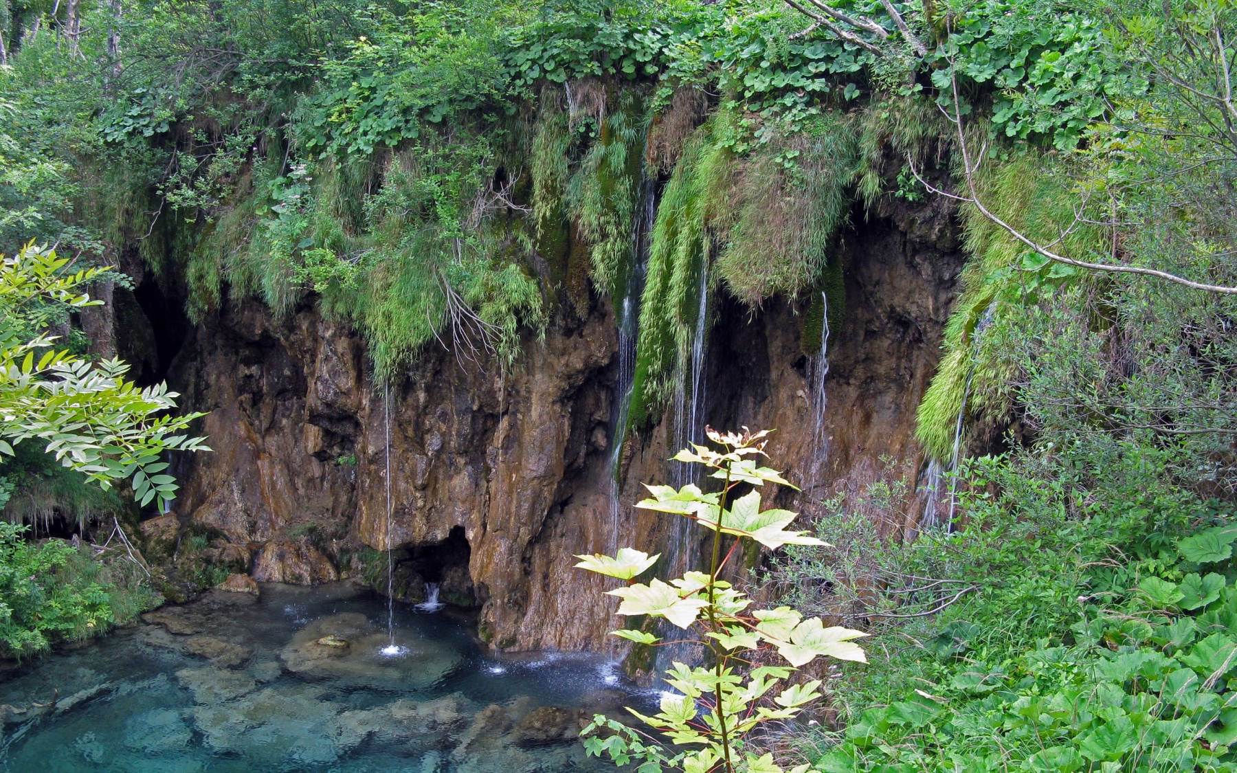 طبیعت رویایی