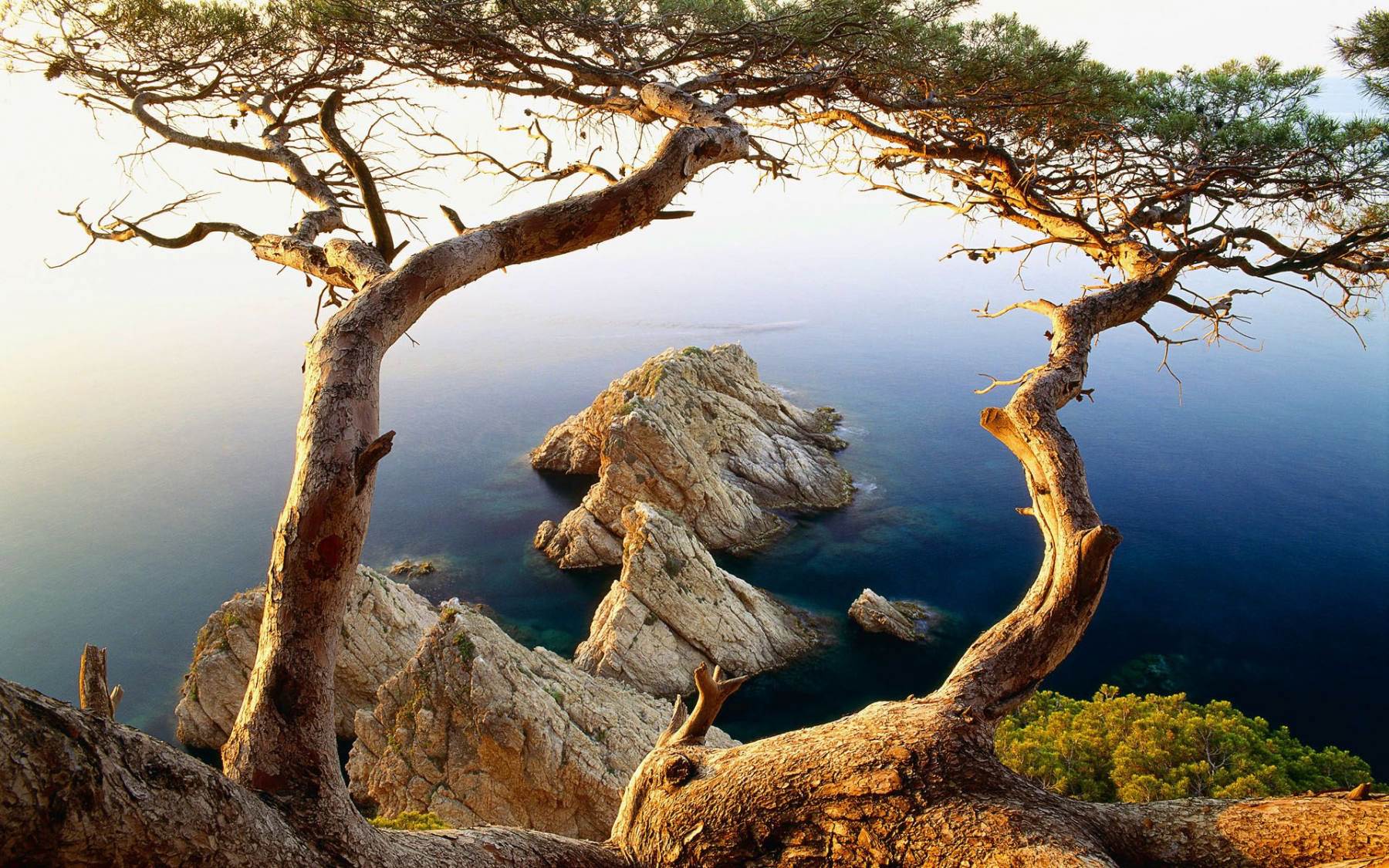 طبیعت رویایی