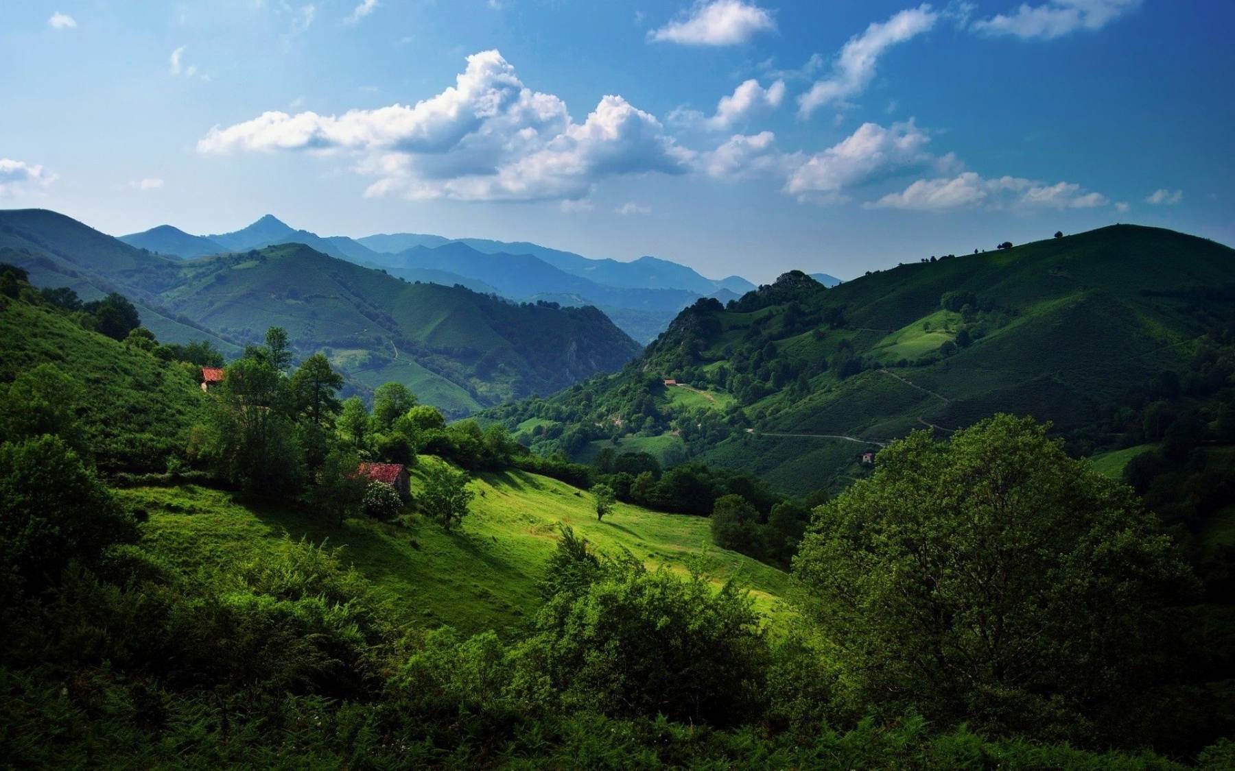 طبیعت رویایی