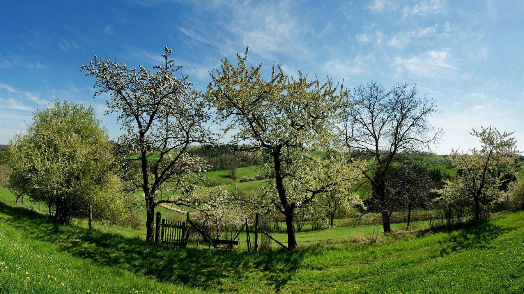 طبیعت رویایی