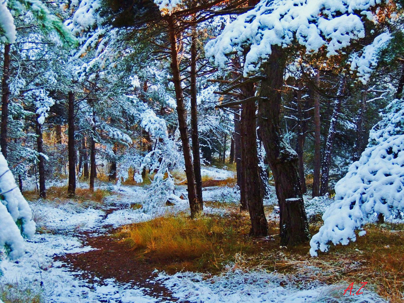 طبیعت رویایی