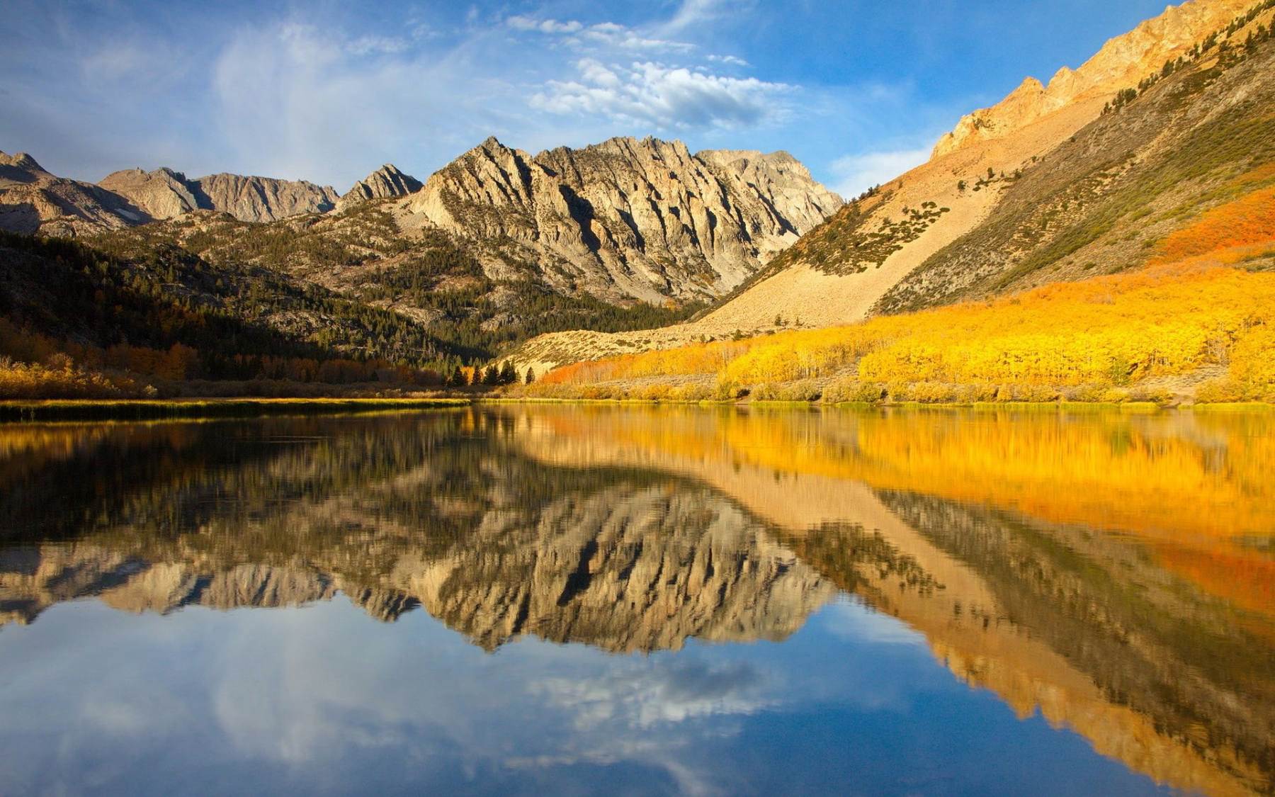 طبیعت رویایی