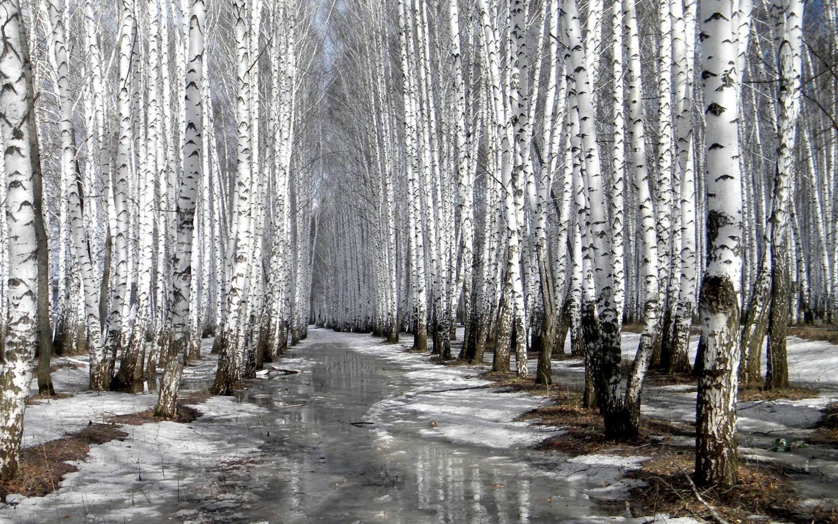 طبیعت رویایی