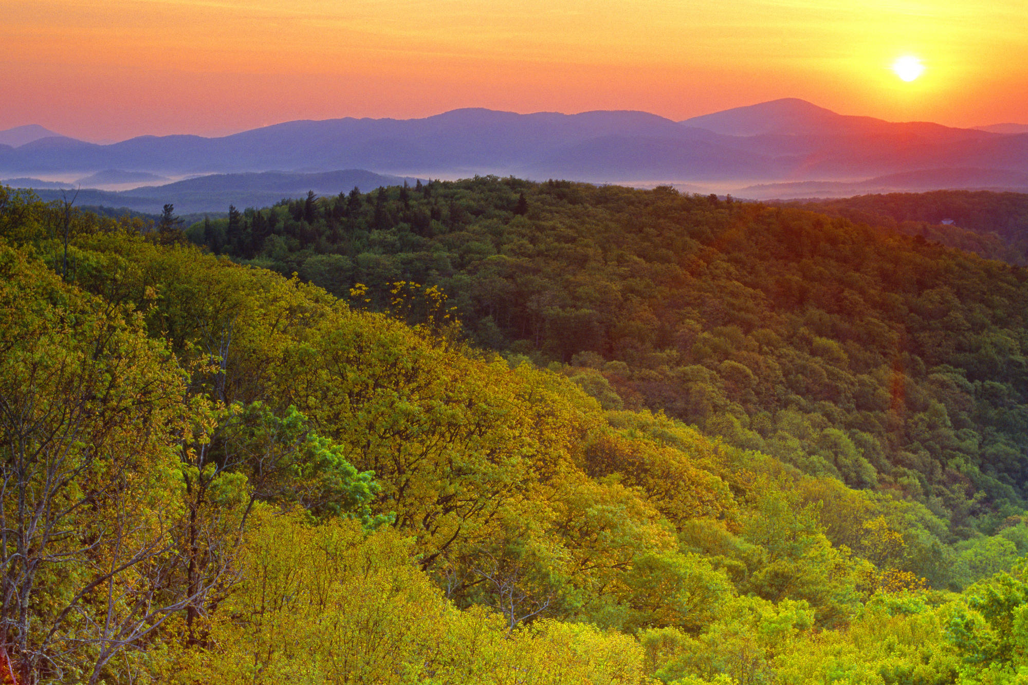 Blue ridge mountains. Северная Каролина штат США природа. Горы Аппалачи Северная Каролина. Горы Блу Ридж. Штат Северная Каролина леса.