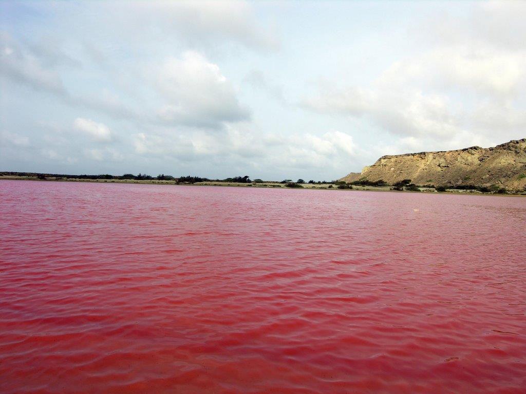 نمایی از تالاب لیپار