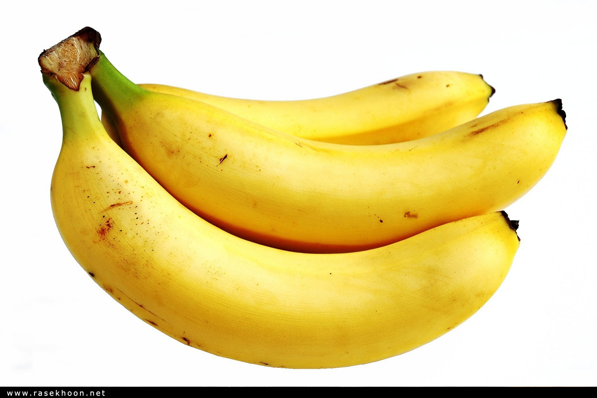 میوه ها