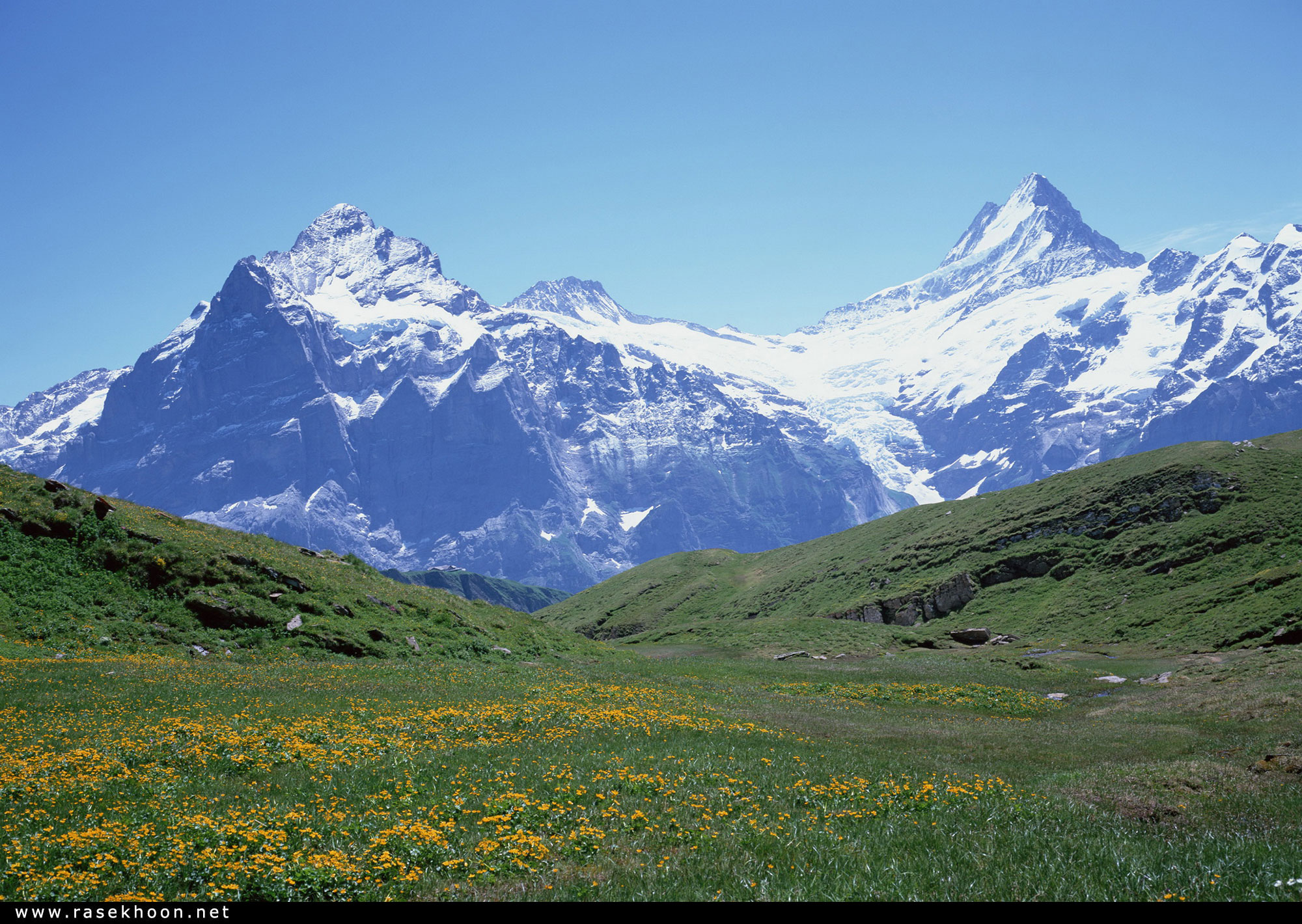 کوهستان