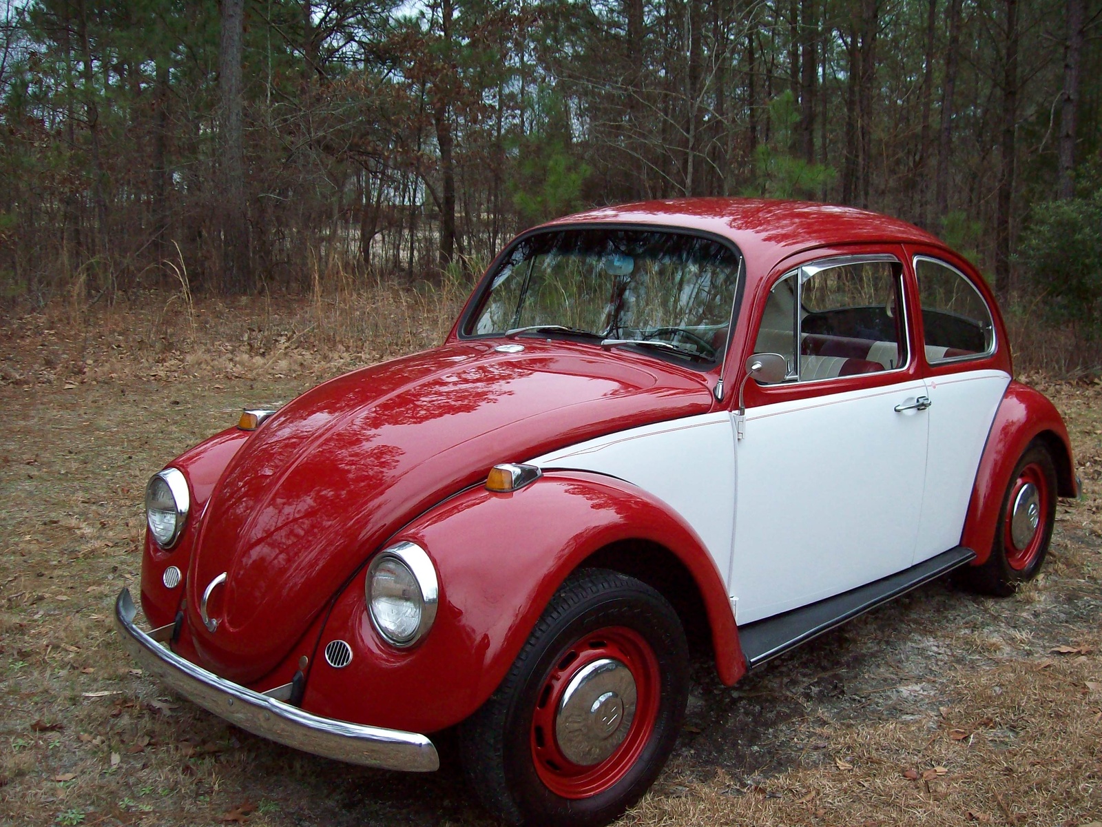 Volkswagen Beetle. 