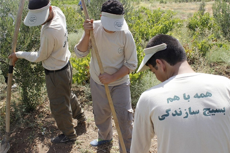 هفته بسیج