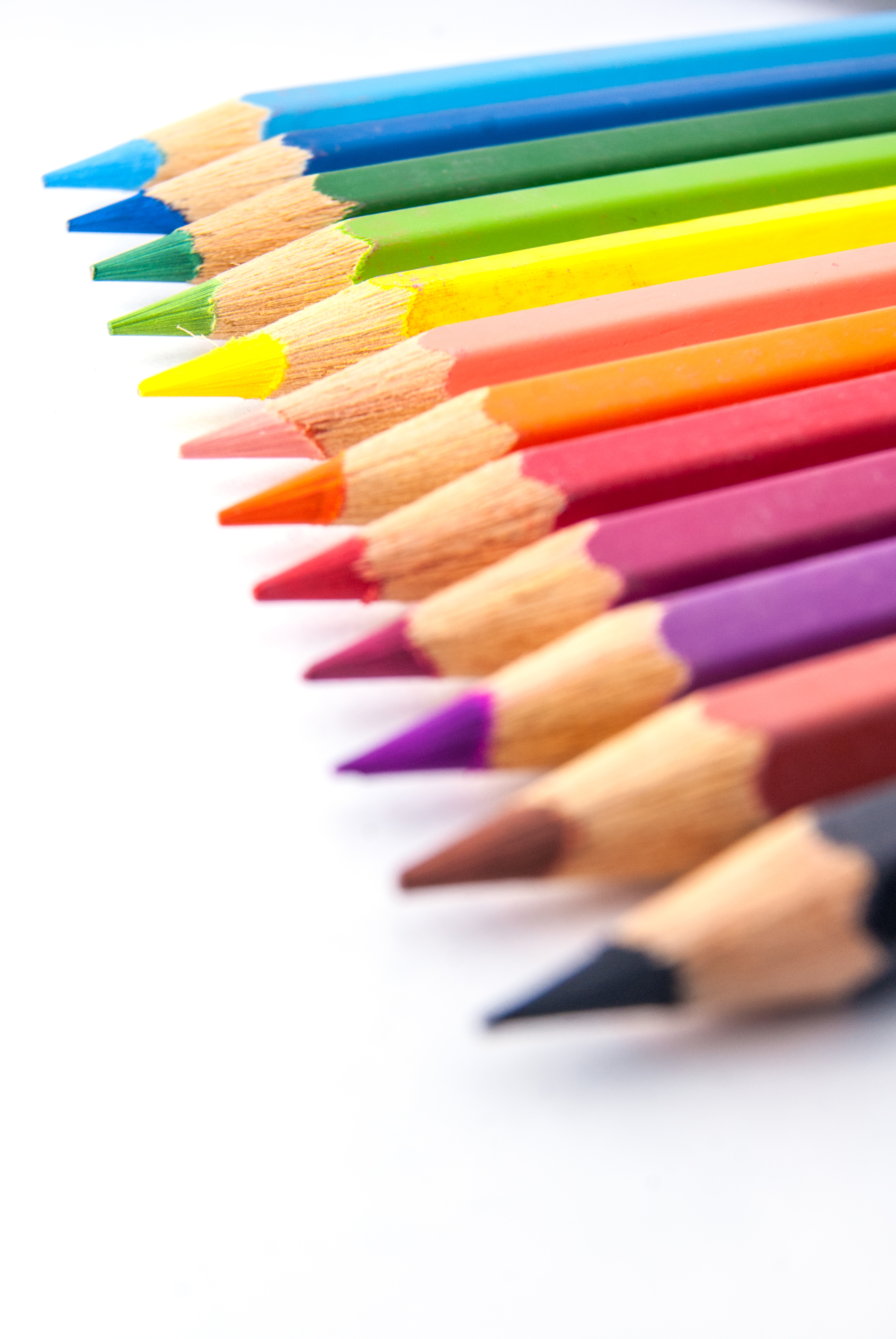 Ten pencils. Карандаши цветные. Яркие карандаши. Цветы карандашом. Красивые цветные карандаши.