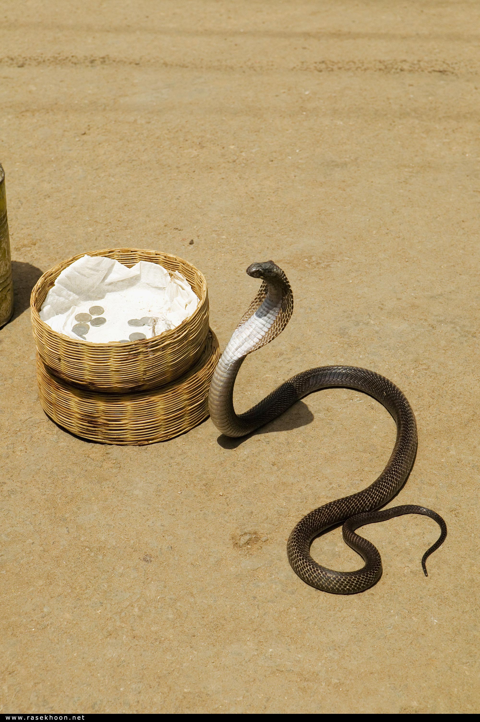 دهلی نو