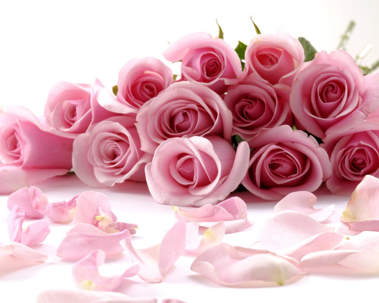 گل های با طراوت و زیبا
