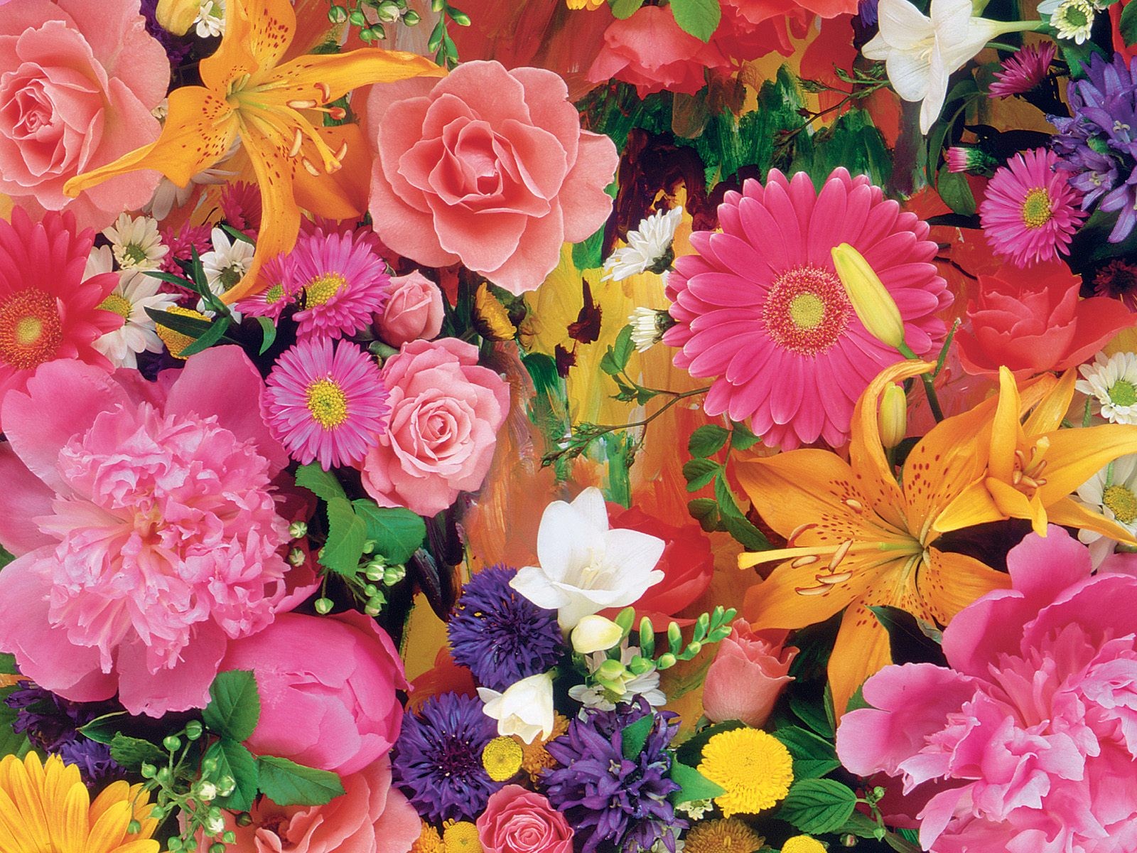 گل های با طراوت