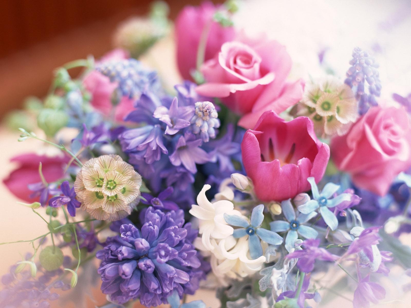 گل های با طراوت