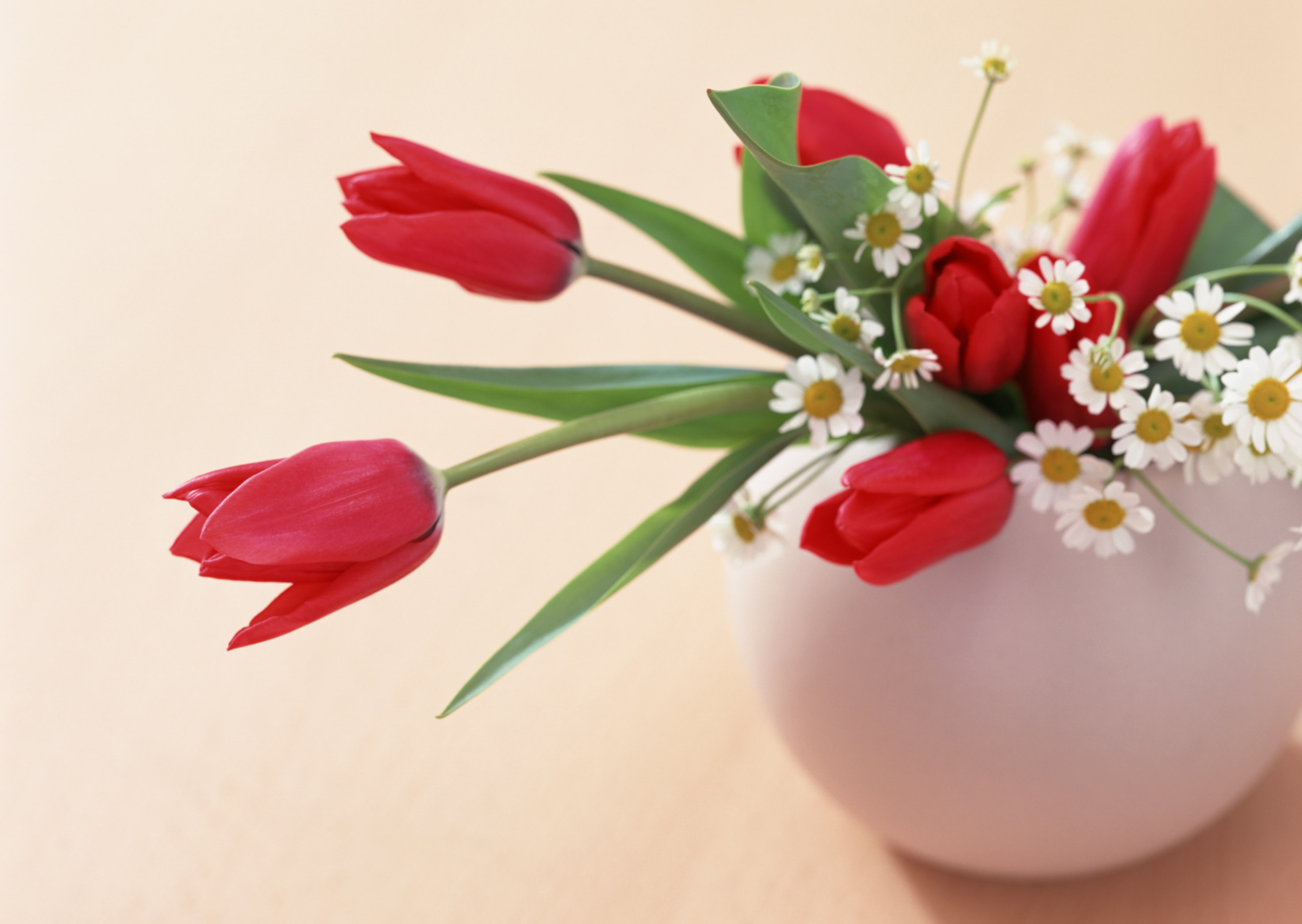 Розы и тюльпаны в одной вазе. Тюльпаны открытка. Открытки с цветами. Открытка цветы тюльпаны. Тюльпаны с ромашками.
