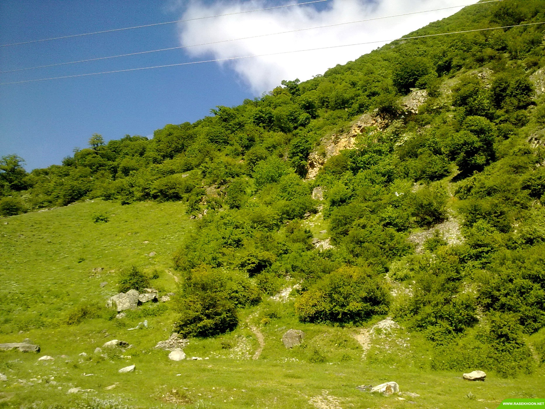 کلاردشت