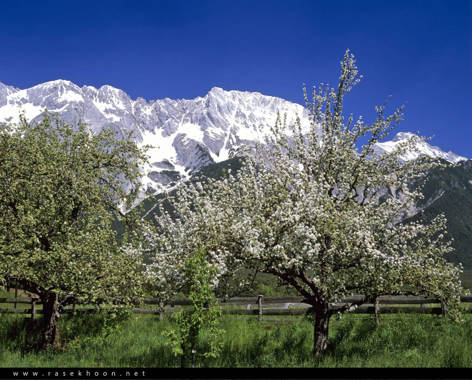 کوهستان