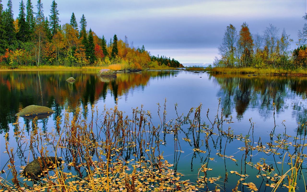 چشم اندازی از دریاچه زریوار