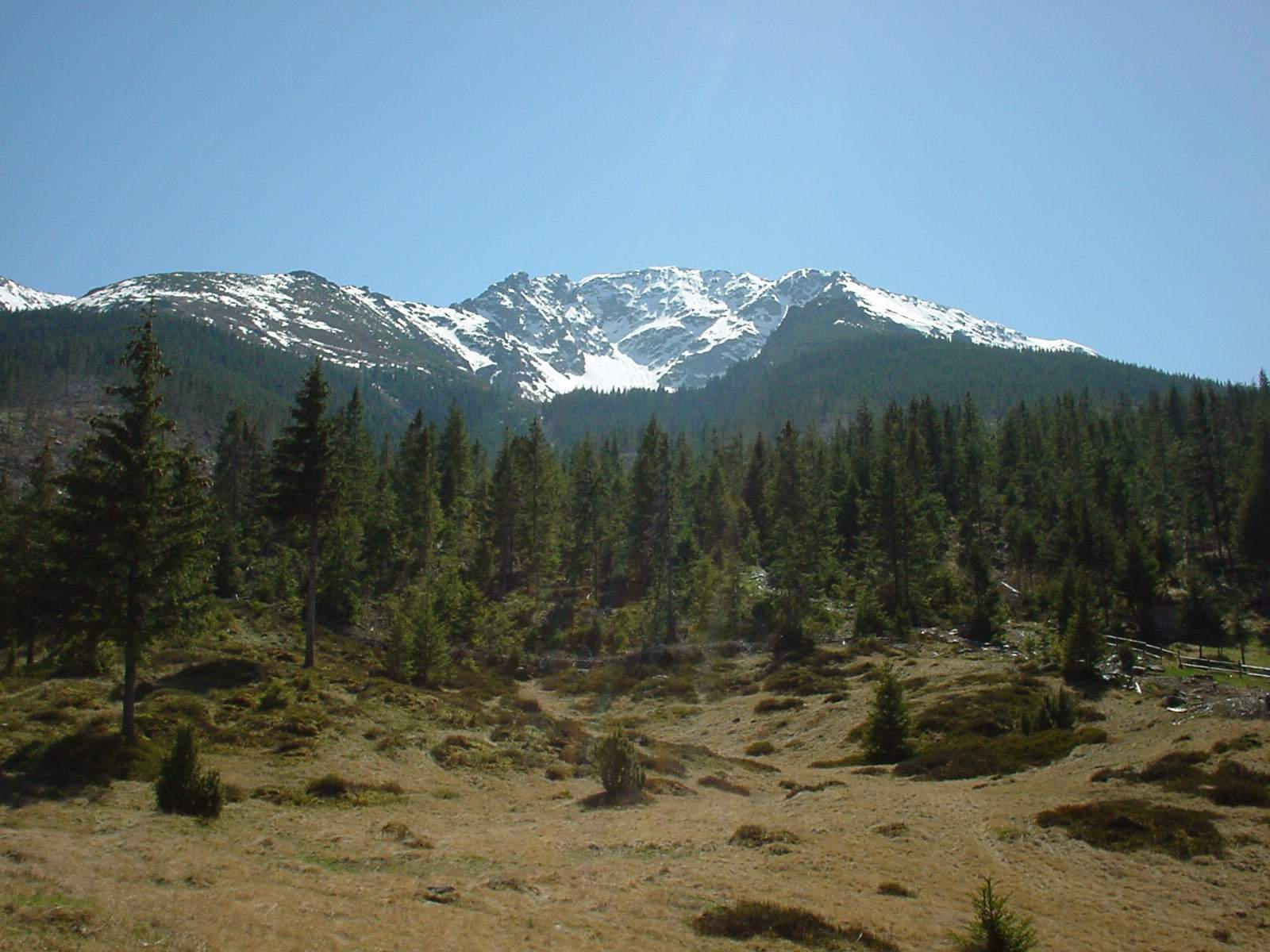 روزهای زمستانی