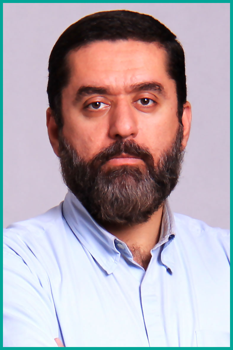 سید محمود رضوی