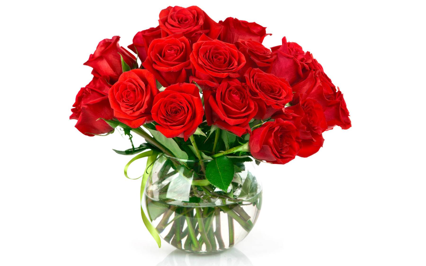 گل های شاداب و زیبا