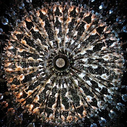 پویش امامزادگان سرزمین من