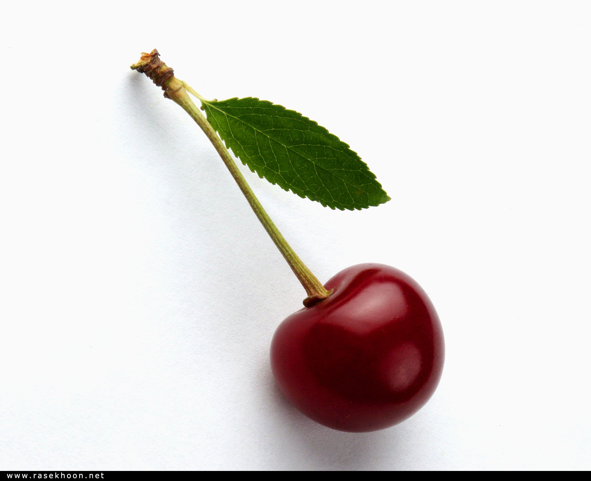گیلاس