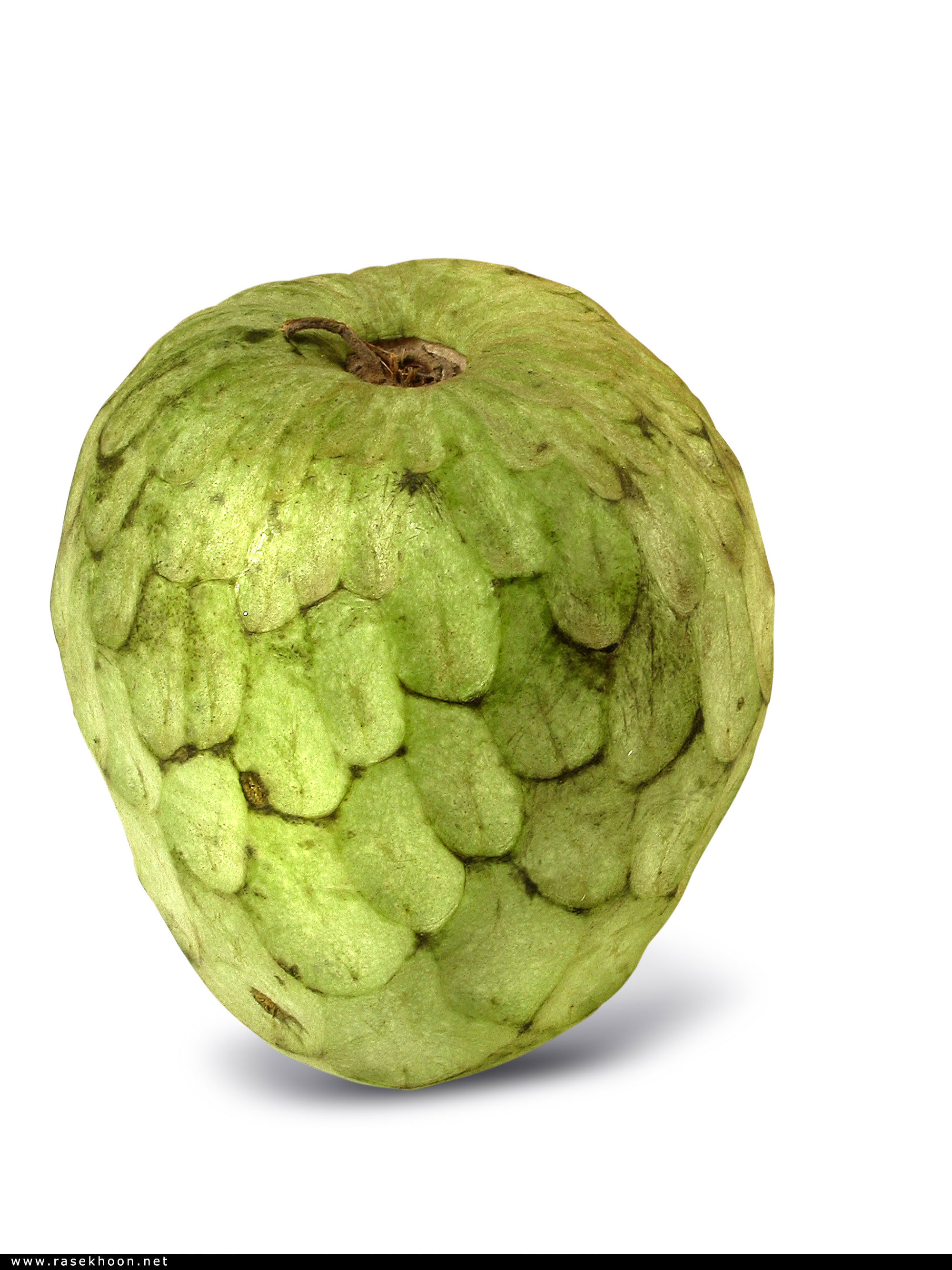 میوه ها