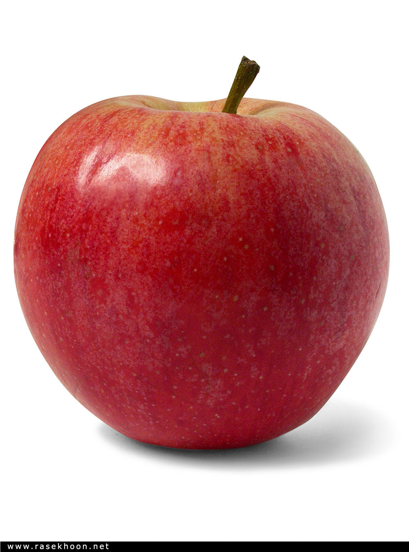 میوه ها