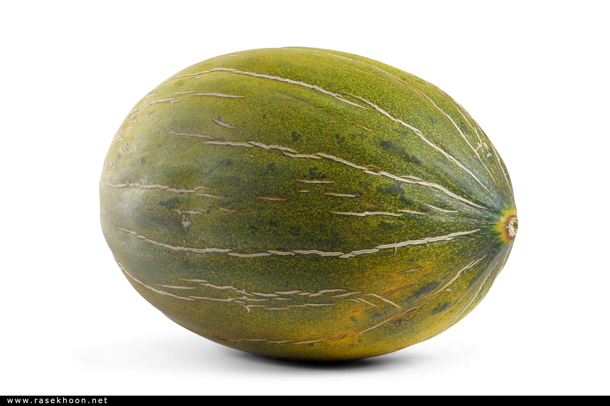 میوه ها