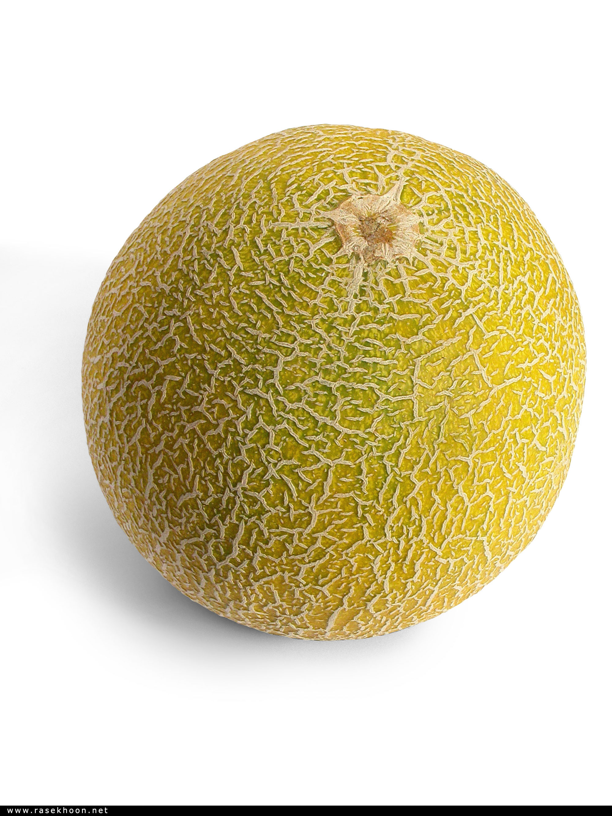 میوه ها