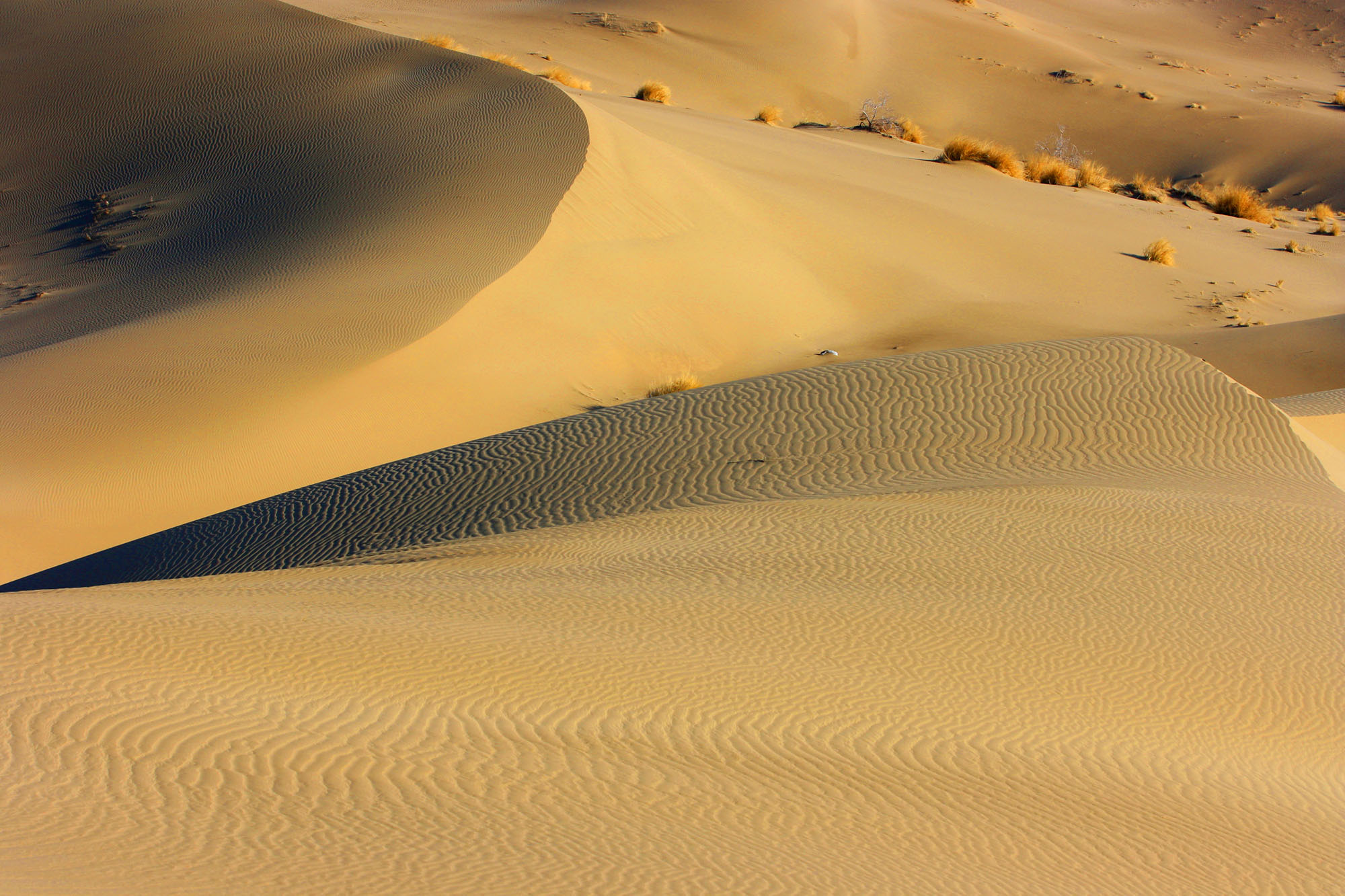 Пустыни аравийского полуострова