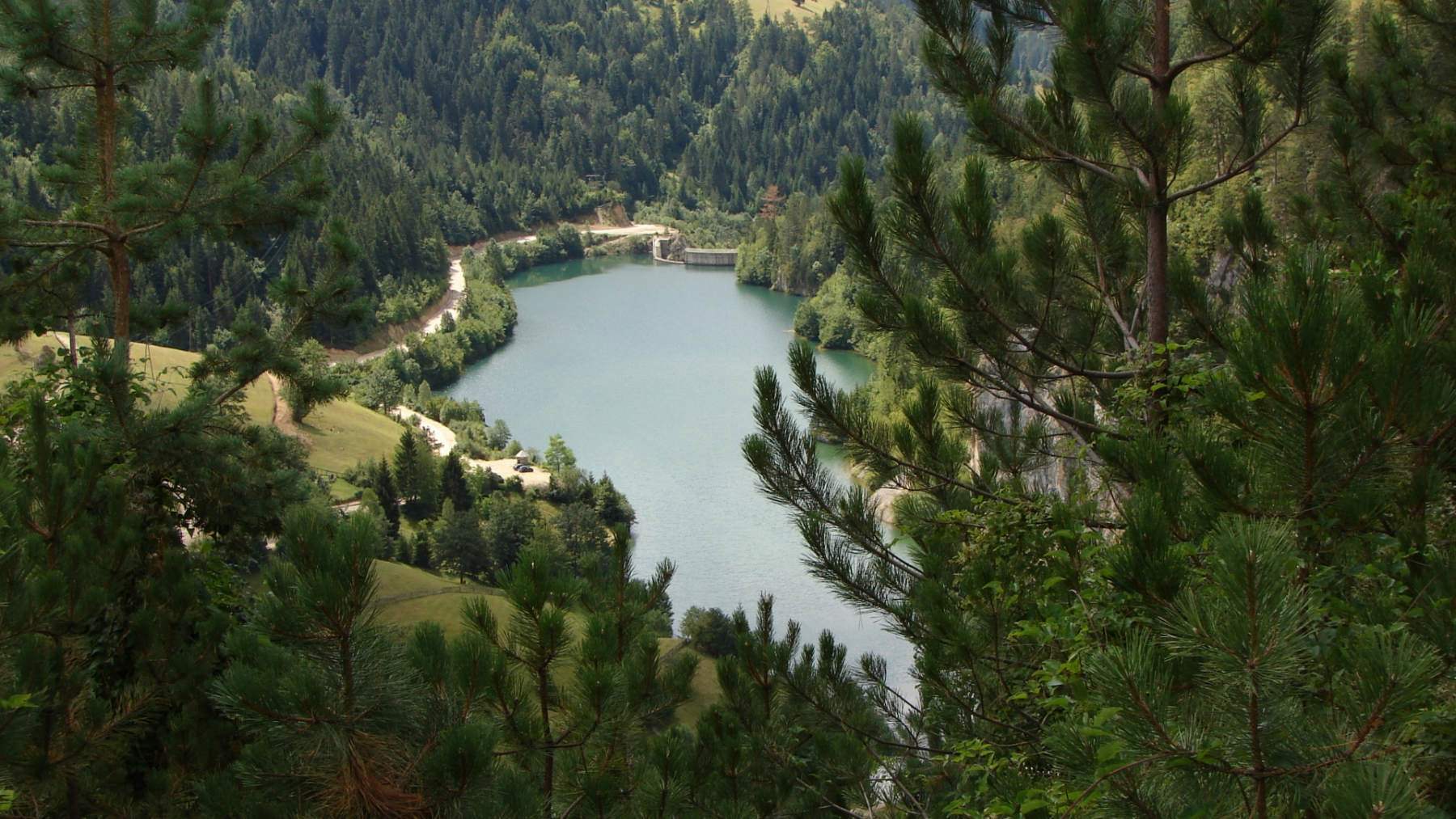 دریاچه جنگلی