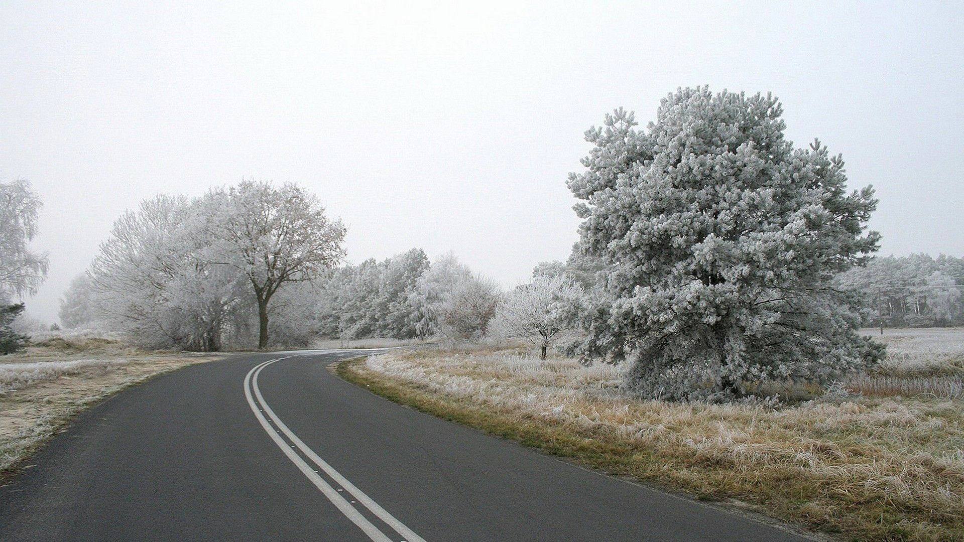 Дорога без снега. Иней на дороге. Дорога в ноябре. Зимняя дорога.