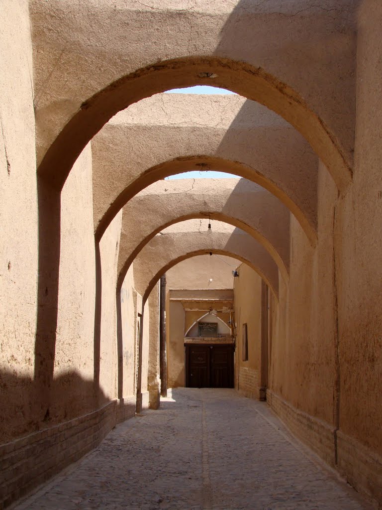یزد