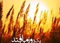 یک روز خوب می افتد