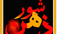 کتاب فارسی شور ذهن