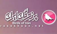 دانلود رایگان نرم افزار پرندگان ایران (Birds Of Iran)