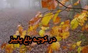 در کوچه باغ پاییز