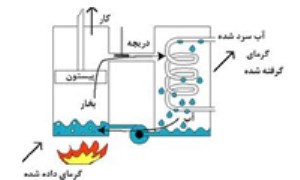 پیروزی خار