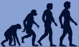 نگاهی به نظریه ی تکامل