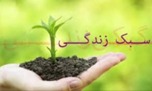 سبک زندگی اسلامی مبتنی بر مقاومت، نرم‌افزار تمدن اسلامی