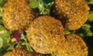 محشی فلیفلة خضراء بالزیت ( دلمه ی فلفل دلمه ای سبز با روغن )