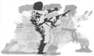 مختصری از تاریخچه کاراته