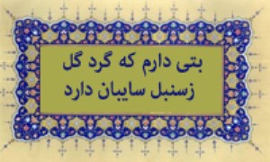 بُتی دارم که گرد گل ز سنبل سایه بان دارد