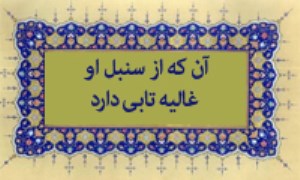 آن که از سنبل او غالیه تابی دارد