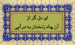 ای دل گر از آن چاه زنخدان به درآیی